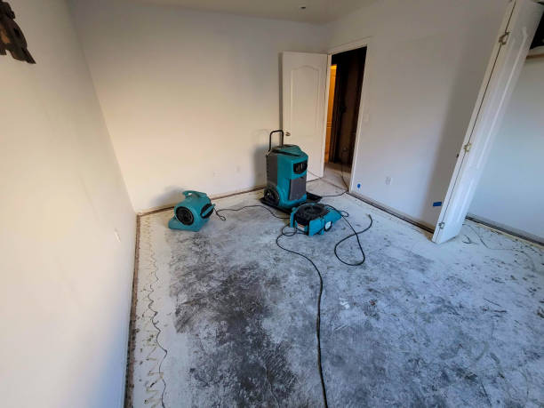 Best 24-hour water damage restoration  in Port Aransas, TX