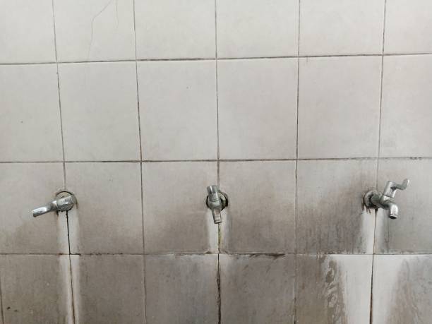 Best Professional water damage repair  in Port Aransas, TX