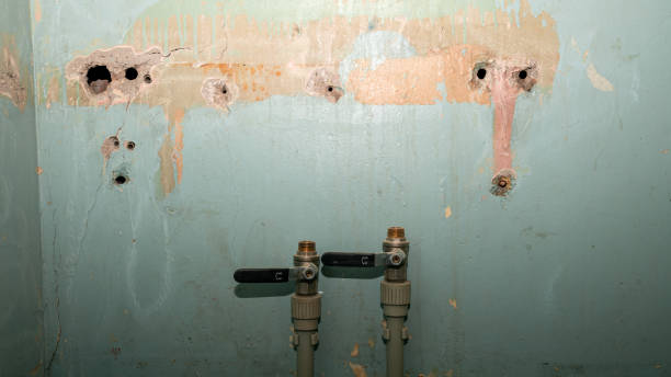 Best Fire Damage Restoration  in Port Aransas, TX