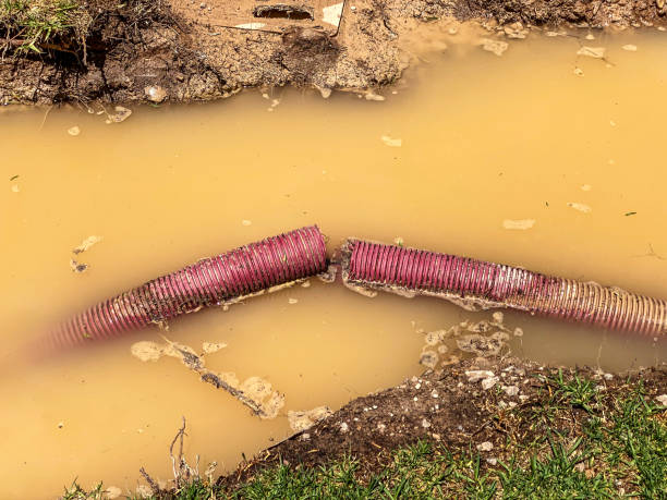 Best Water damage restoration services  in Port Aransas, TX