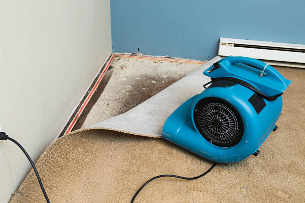 Water damage restoration experts in Port Aransas, TX